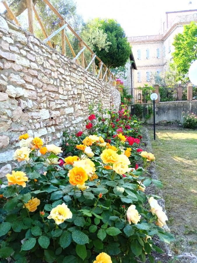 Residenza Messer Pajola Асизи Екстериор снимка