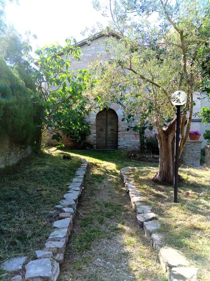Residenza Messer Pajola Асизи Екстериор снимка